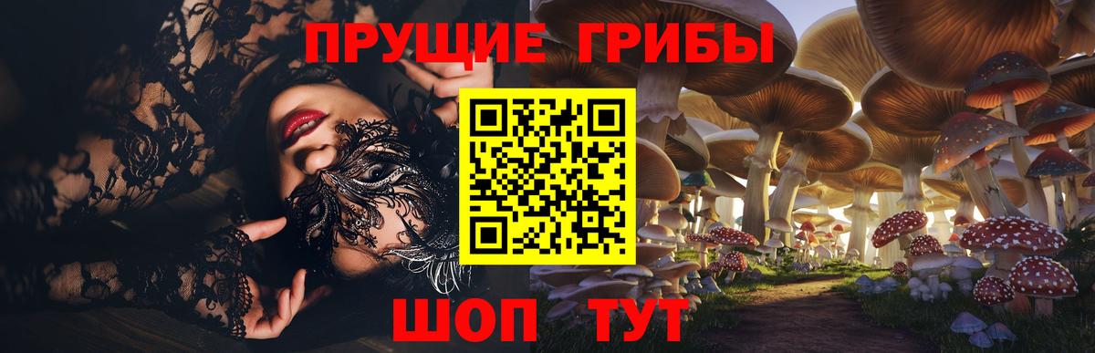 Псилоцибиновые грибы Psilocybine cubensis  Вход с VPN  Рославль 